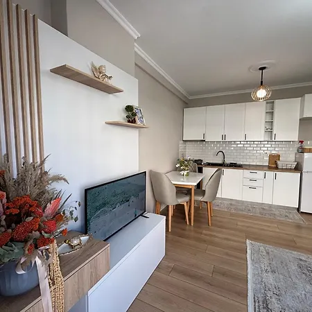 Cozy Rr Sokrat Miho * Tirana