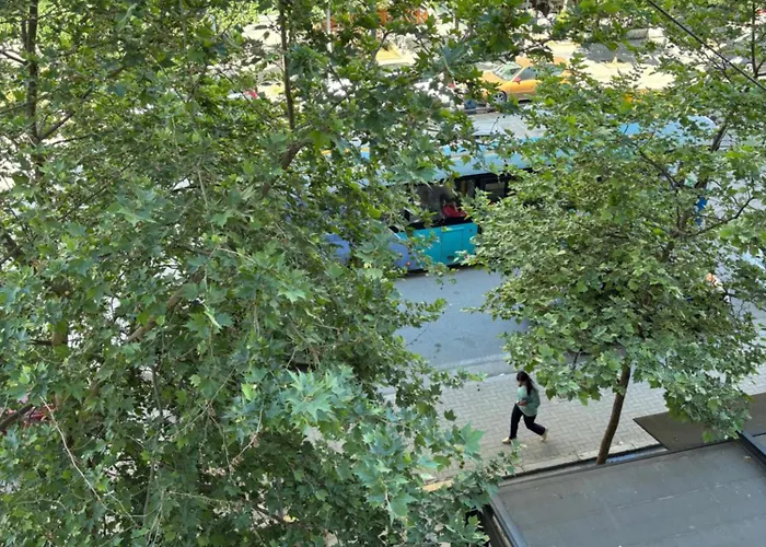 Cozy Rr Sokrat Miho * Tirana