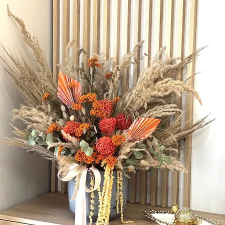 Cozy Rr Sokrat Miho Apartamento