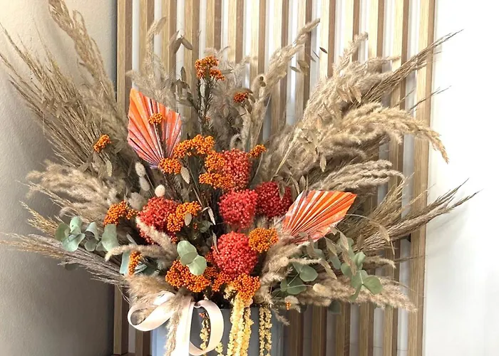 Cozy Rr Sokrat Miho 公寓